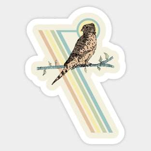 Mauritius Kestrel Falcon Sticker